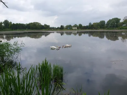 Badekanal Demmin