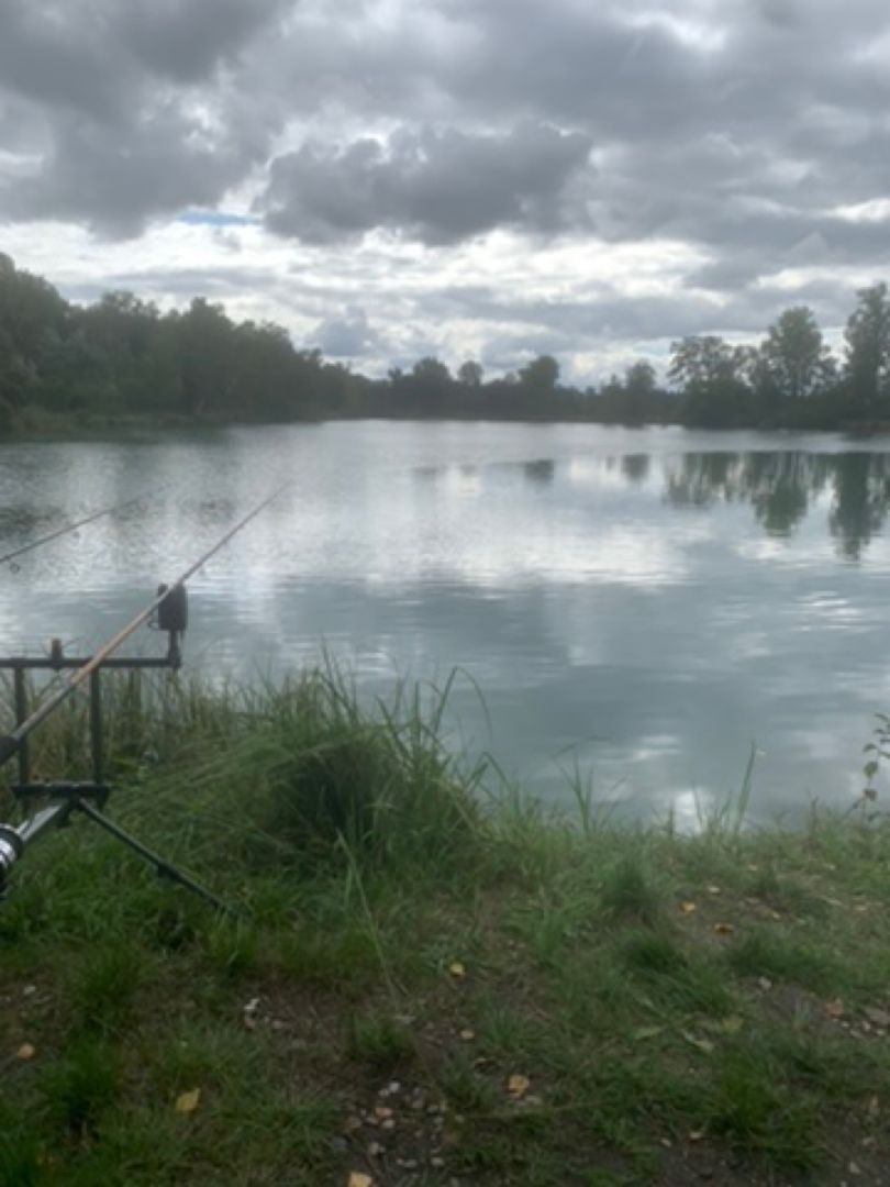 Märzensee (Genderkingen) angeln