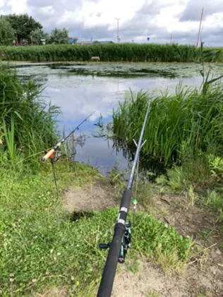 Polder Julianadorp