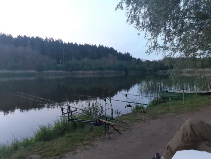 Carp lake 333 (Popowo)