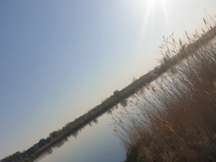 Kiesgrube Dölzig