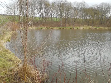 Trenkelhofer Teich