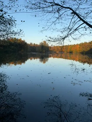 Seppenser Mühlenteich