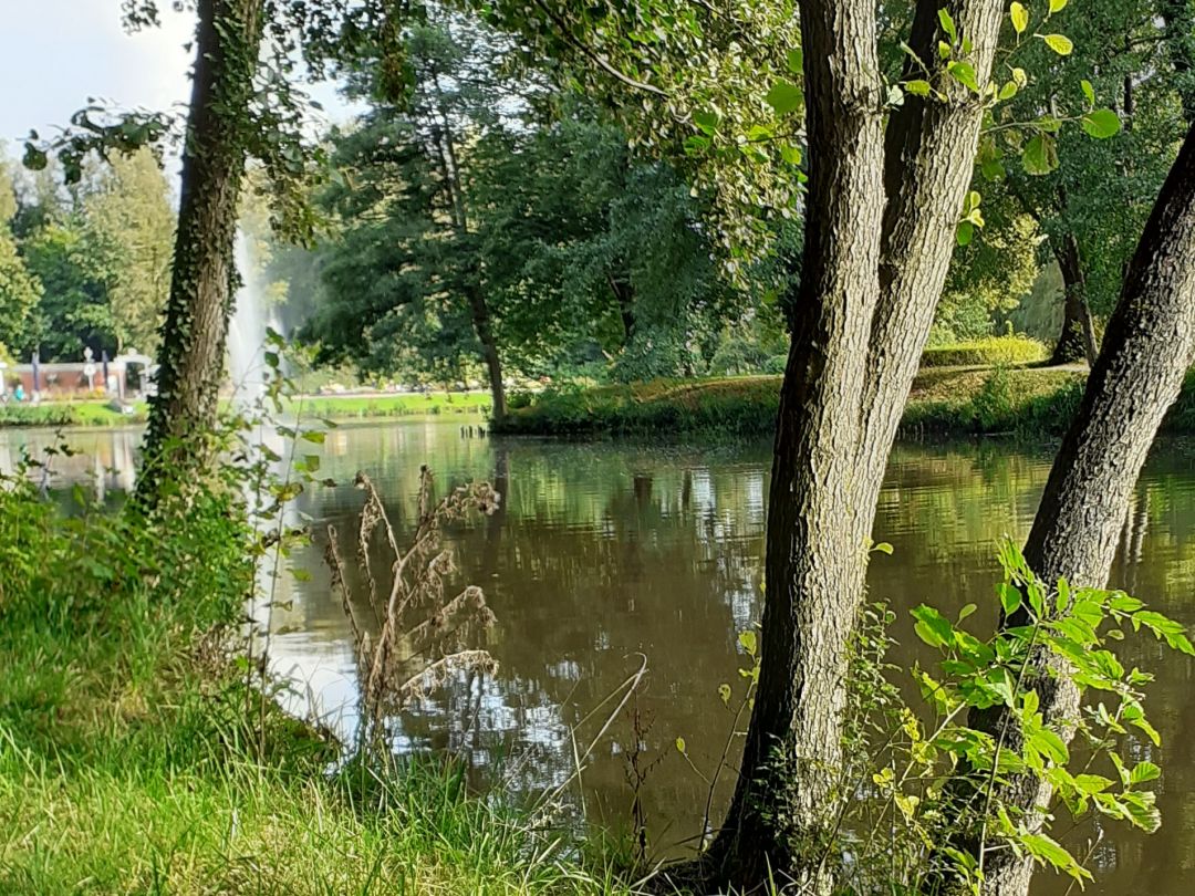 Stadtparkteich (Wilhelmshaven) angeln