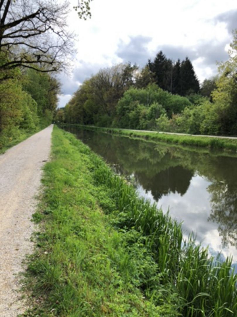 Ludwig-Donau-Main-Kanal (Wendelstein) angeln