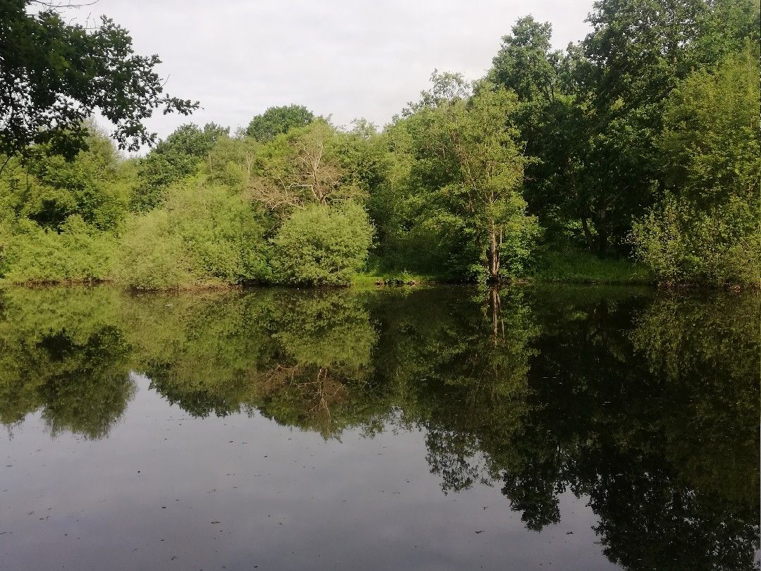 Laakenkuhle (Hagenow) angeln