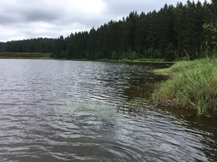 Ziegenberger Teich