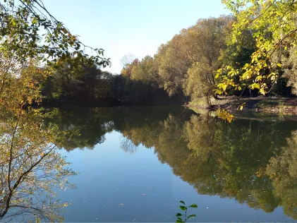 Dornacher See