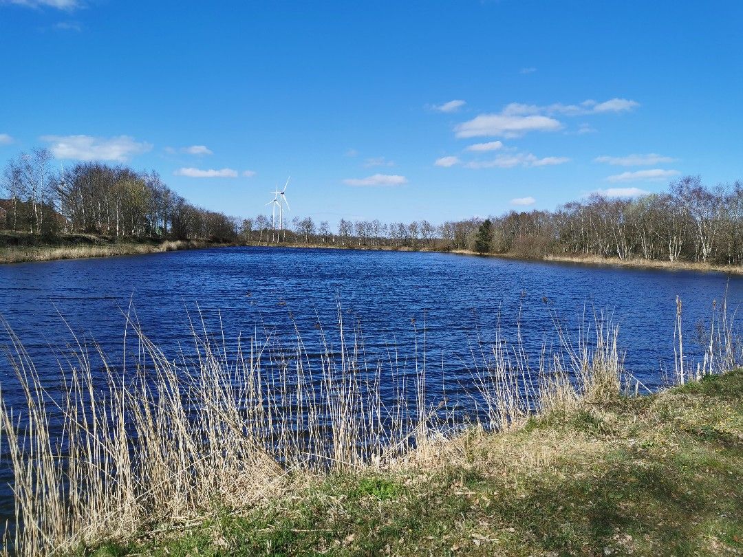 Kuhle Dietrichsfeld angeln