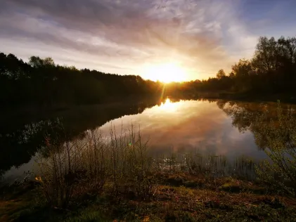 Loruper Teich