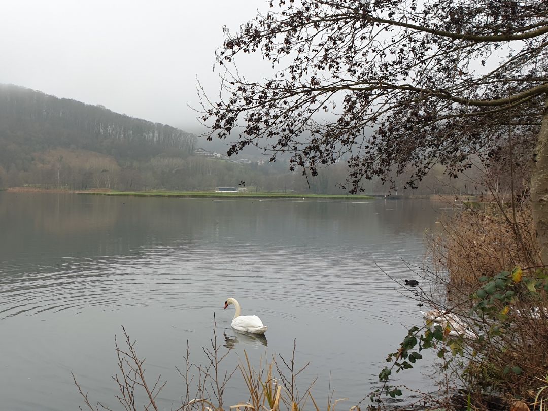 Lac d'Echternach angeln