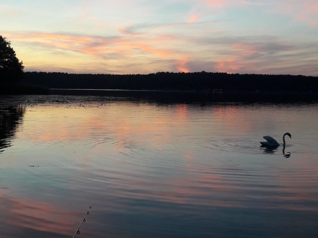 Schweriner See (Teupitz) angeln