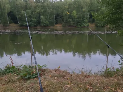 Vereinssee AV Dörverden