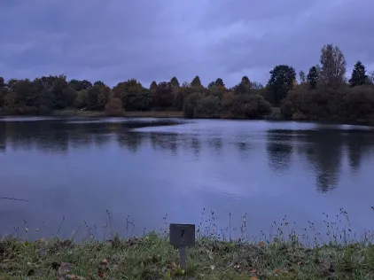 Looper See