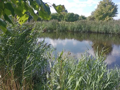 Dorfteich Vogtshagen