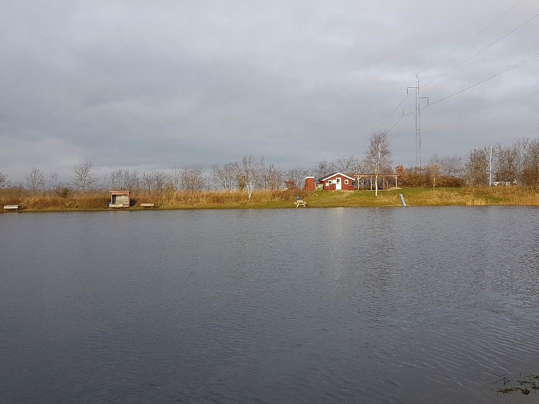 Lovtrup Fiskesø angeln