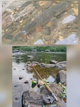 Weißeritz (Dresden)