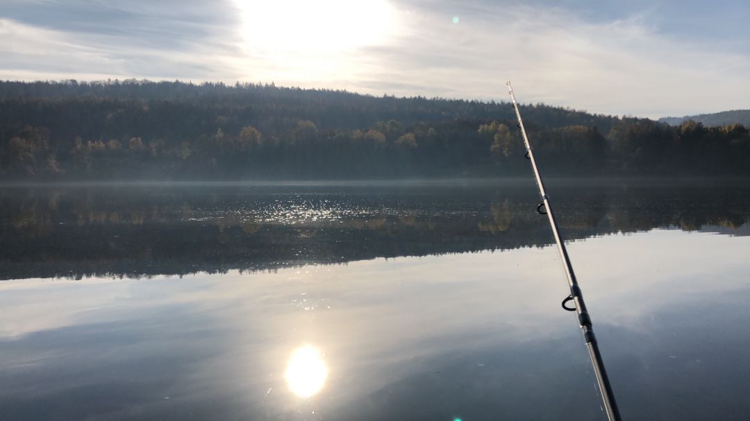 Kinzigstausee angeln