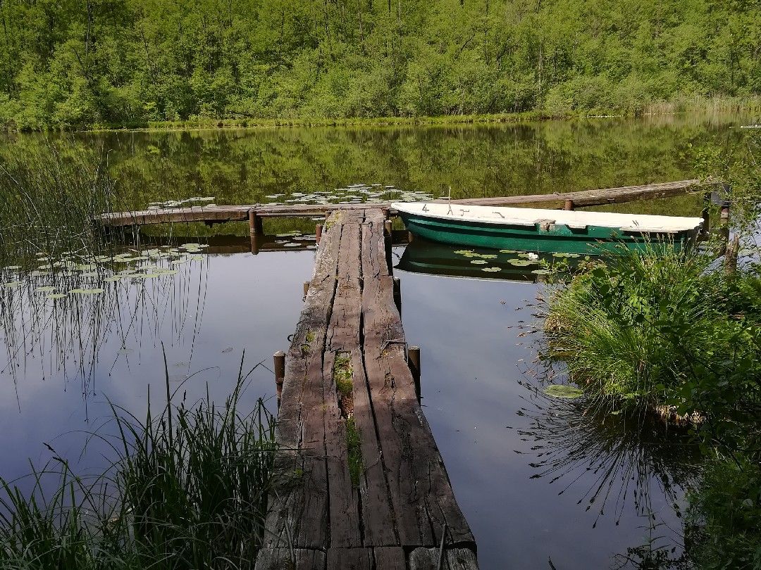 Brandsee (Garzau) angeln