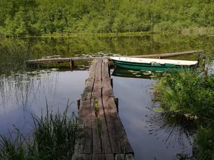 Brandsee (Garzau)