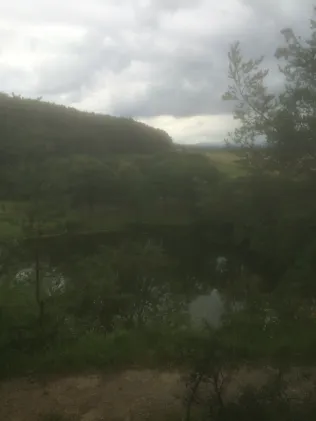 Frickenhäuser See