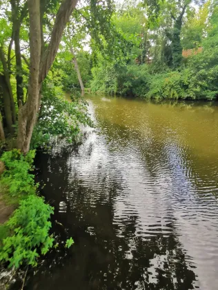 Dorfteich Löhrstorf