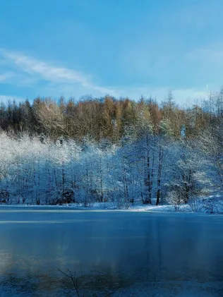 Vereinsgewässer ASV Waldfrieden
