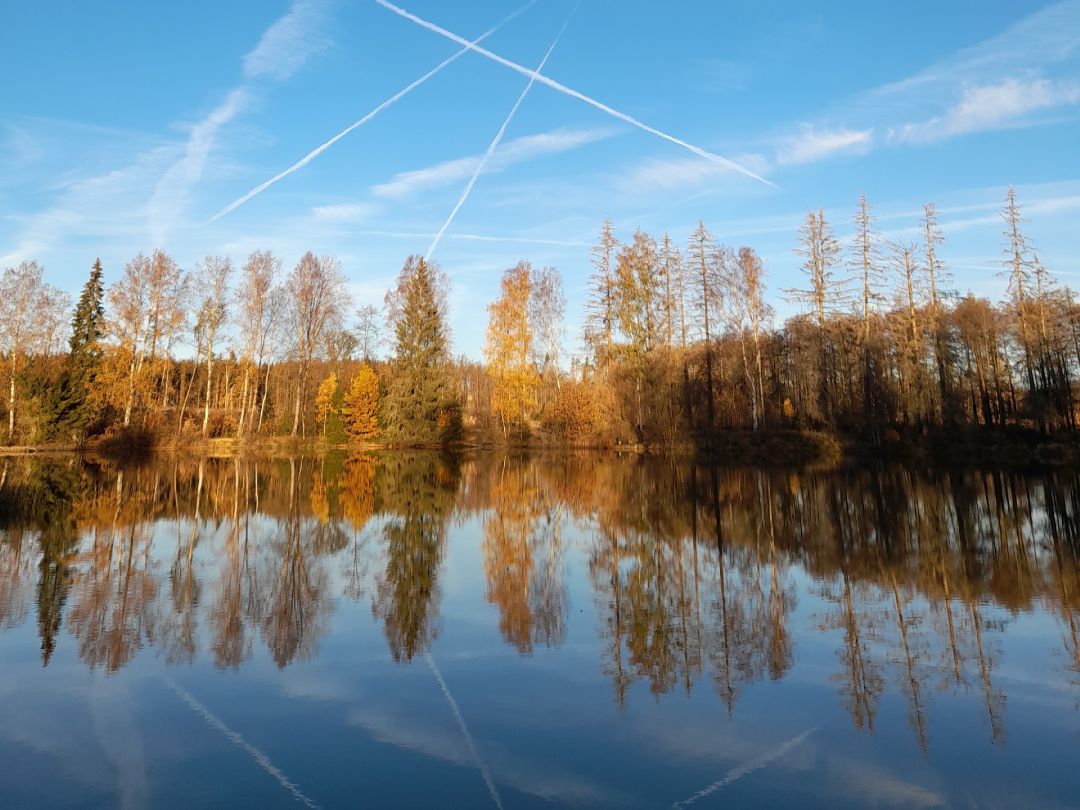 Peterstichel (Ochsensumpfteich) angeln