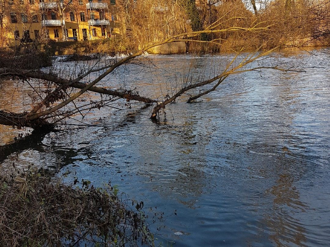 Weiße Elster (Schkeuditz) angeln