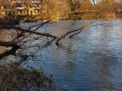 Weiße Elster (Schkeuditz)