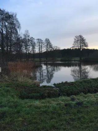Hunte-Altarm Moormarsch