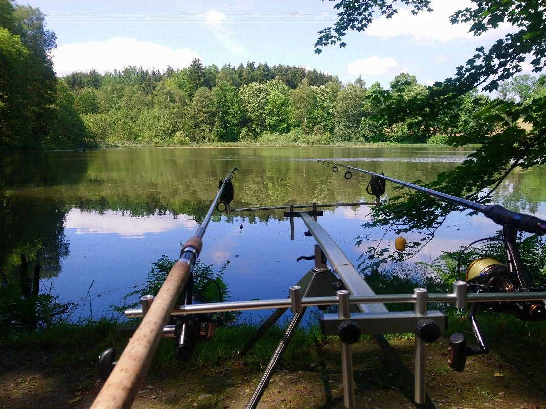 Brettmühlenteich (Niederzwönitz) angeln