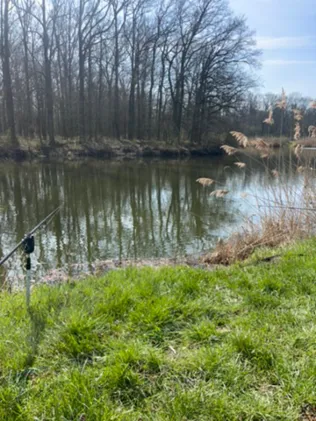Steinkolk u. Kläne (Glindenberg)