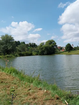 Bechthaler Weiher