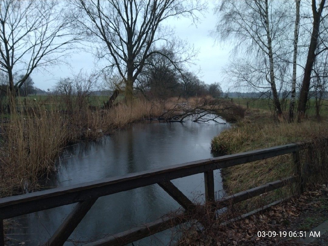 Rhin-Altlauf (Zootzen) angeln