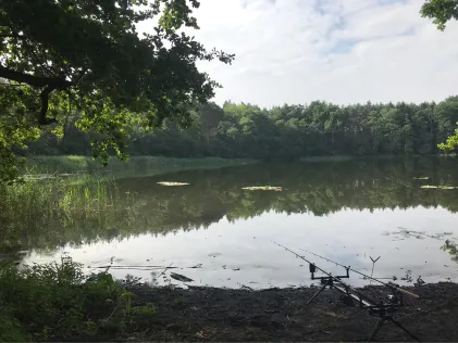 Kesselsee (Altfriedland)