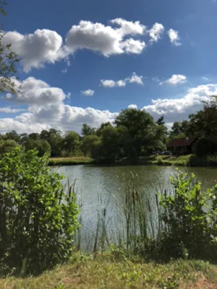 Vereinssee ASV Piesbach
