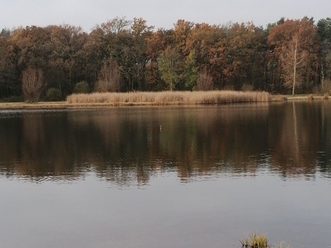 See am Kleihügel angeln