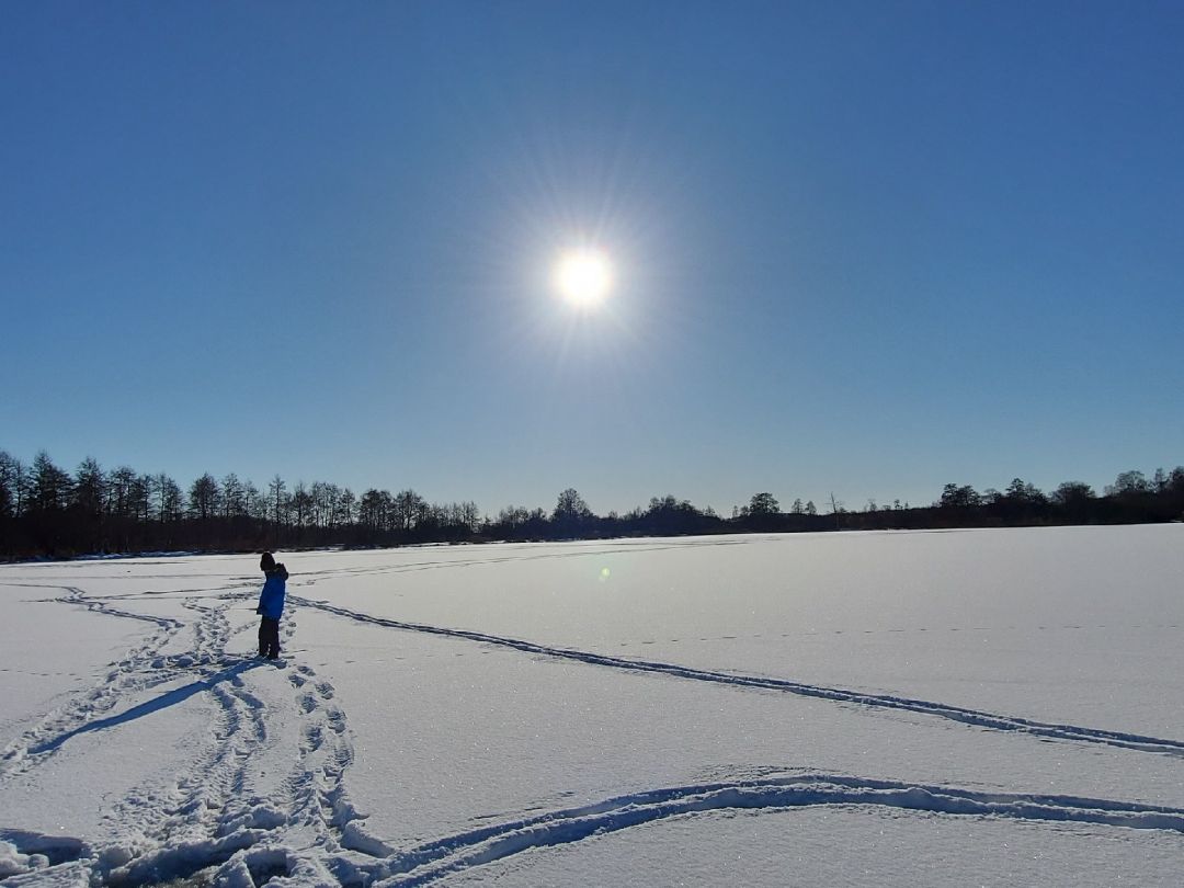 Schwaaner Torfmoor angeln