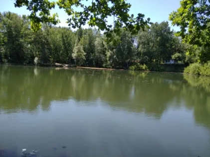 Ziegeleiteich (Klein Kölzig)