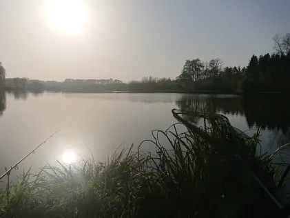 Teich Wilke (Horneburg)