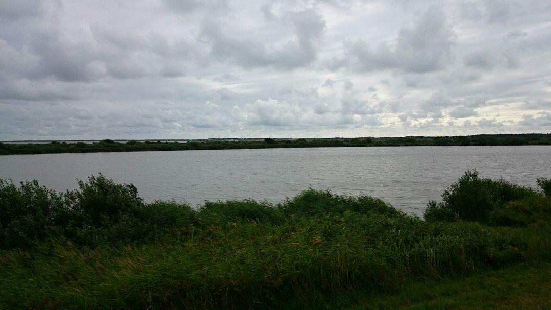 Baggerkuhle Sylt angeln