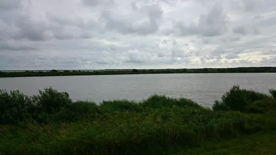 Baggerkuhle Sylt