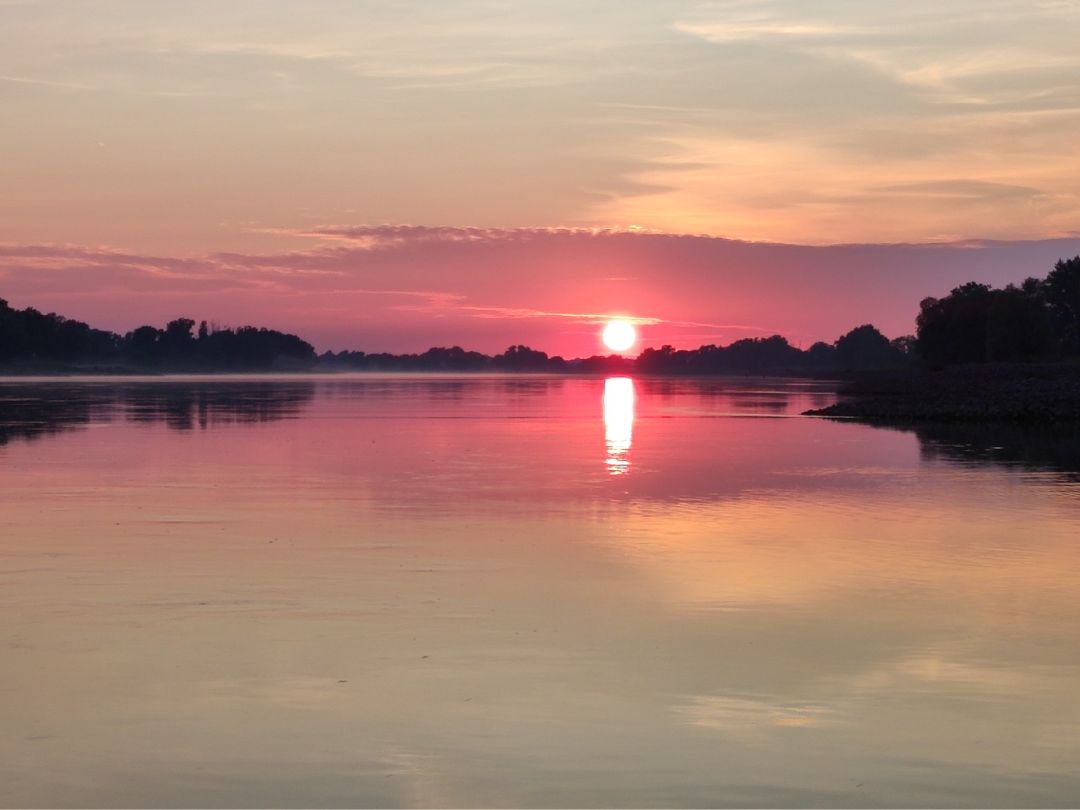 Elbe (Neu-Darchau) angeln