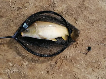Künsebecker Teich