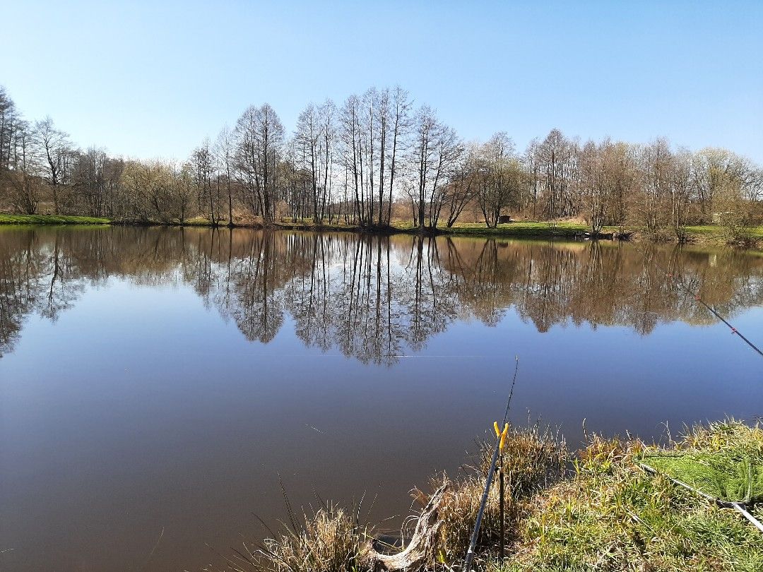 Schlossweiher Göppmannsbühl angeln