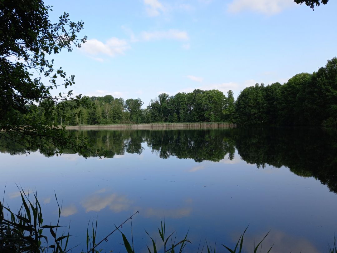 Großer Schindelteich (Röhrsdorf) angeln