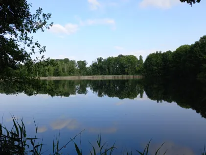 Großer Schindelteich (Röhrsdorf)