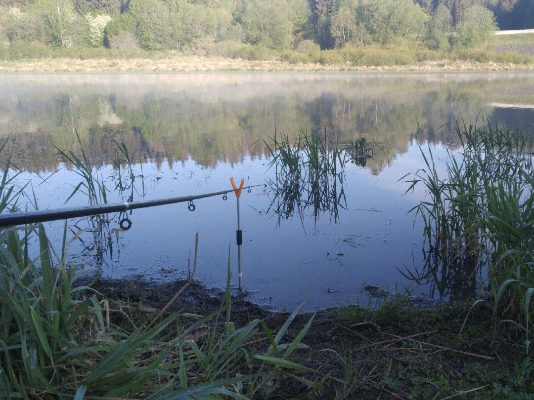 Talsperre Feilebach angeln