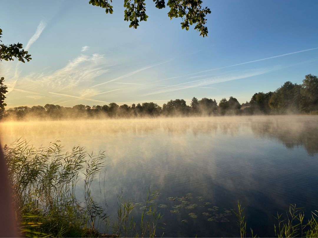 Großer Seddiner See angeln